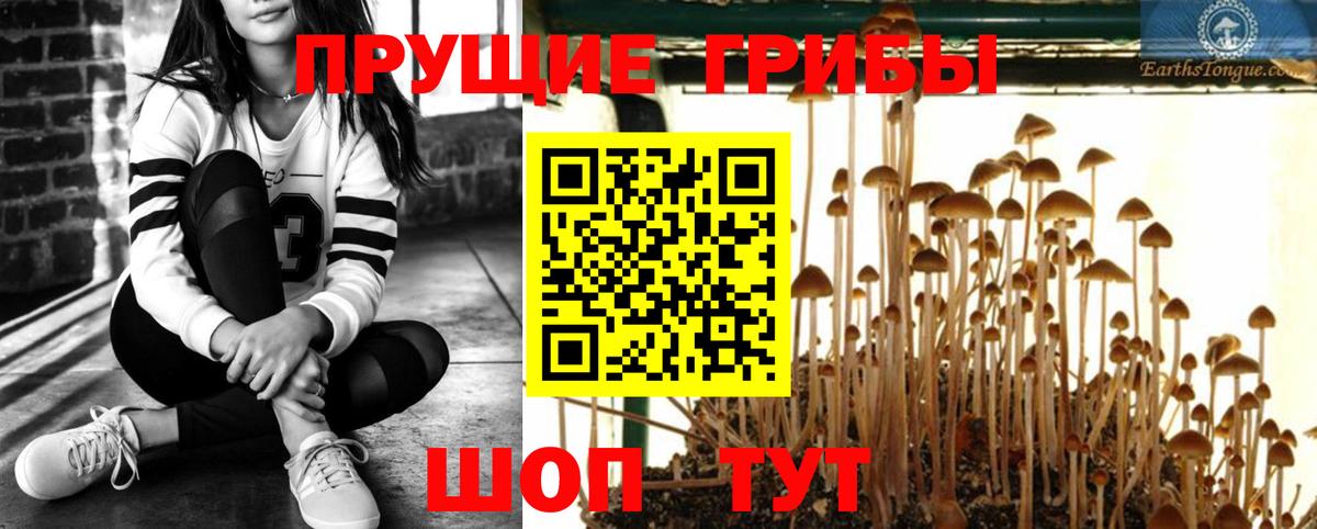 Псилоцибиновые грибы Cubensis  Вход с VPN  Новоуральск 